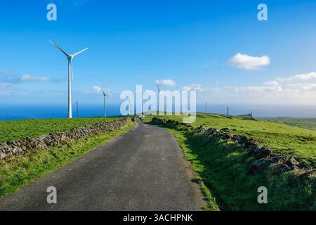 Una strada pittoresca a Terceira, nelle Azzorre, conduce attraverso dolci colline verdi verso un parco eolico, mostrando l'impegno dell'isola per le energie rinnovabili Foto Stock