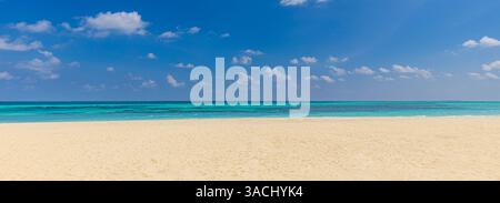 Spiaggia soleggiata vuota con spiaggia di sabbia soffice all'orizzonte, cielo azzurro e luce solare brillante. Vacanze tranquille, panorama costiero estivo Foto Stock