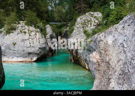 Grande Gola di Soca, fiume Soca, in sloveno Velika korita. Valle di Lepena, Alpi Giulie, comune di Bovec, Slovenia, Europa Foto Stock