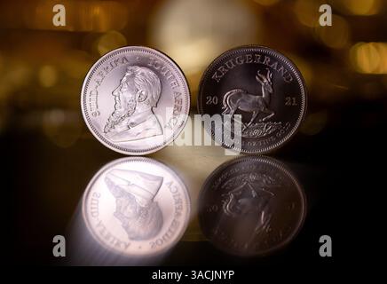 Monaco, Germania. 4 aprile 2025. Le monete d'oro Krugerrand sono collocate in una cassaforte su un tavolo del rivenditore di metalli preziosi Pro Aurum. Crediti: Sven Hoppe/dpa/Alamy Live News Foto Stock