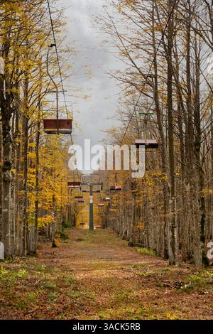 Il sentiero nella foresta autunnale, sotto un cielo grigio, di una vecchia seggiovia abbandonata, fogliame, Monte Amiata, Toscana, Italia Foto Stock