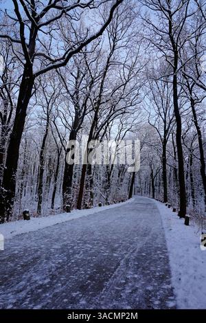 Strada vuota con neve in una foresta Foto Stock