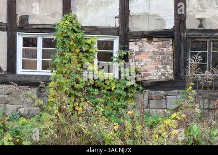 Particolare di una vecchia casa in legno, fatiscente, a Quedlinburg, Foto Stock