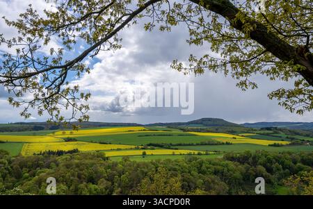 Immagine panoramica della valle di Brohl, Eifel, Renania-Palatinato, Germania Foto Stock