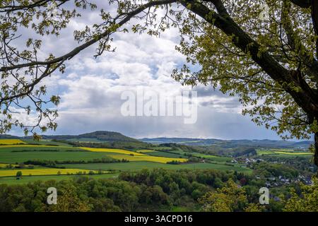 Immagine panoramica della valle di Brohl, Eifel, Renania-Palatinato, Germania Foto Stock