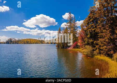 Lago di montagna circondato da cime e vegetazione lussureggiante, acqua limpida del lago che riflette il paesaggio sereno, vista tranquilla e pittoresca, cielo soleggiato e felice Foto Stock