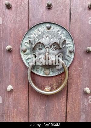 battente porta con testa di leone con un anello metallico su una vecchia porta in legno marrone con piccoli perni in ferro. Foto di alta qualità Foto Stock