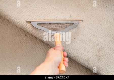 Persona che utilizza un rastrello per moquette sulle scale. Tenere a mano la spazzola per tappeti o il pettine sul tappeto. Pulitore per animali domestici o gadget per la pulizia utilizzato per rimuovere peli e lanugine Foto Stock