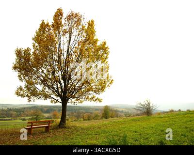 A story telling autumn landscape shot. Foto Stock