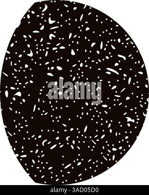 Fasi lunari con mezzaluna, metà e ciclo completo, elementi celesti del cielo notturno, set di icone astronomiche bianche e nere. Illustrazione vettoriale piatta Illustrazione Vettoriale