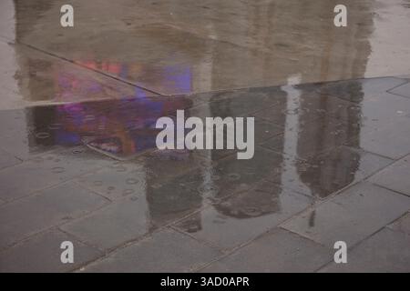 Toronto Canada Reflections grattacieli curve da baseball Foto Stock