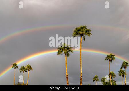 Arcobaleni sulle palme a Palm Springs, California, Stati Uniti Foto Stock