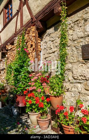 Horb, gerani e piante rampicanti in vasi di fiori accanto a un mucchio di legno sul muro di una vecchia casa a graticcio. Foto Stock