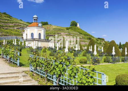 Belvedere nel vigneto con padiglione vigneto Jacobstein, Wackerbarth Castle Park, Radebeul, Sassonia, Germania, Europa Foto Stock
