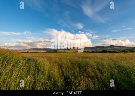 Scenic Landscape of Green Fields and Blue Skies with Distant Mountains Foto Stock