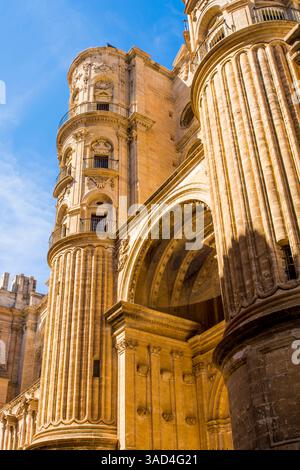 Santa Iglesia Catedral Basilica de la Encarnacion (Cattedrale di Malaga), Malaga, Spagna. Foto Stock