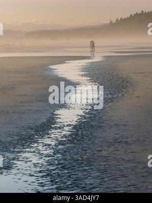 Sagoma di persone che camminano sulla spiaggia in nebbia. Kalaloch Beach, Olympic Peninsula, Washington State. Foto Stock