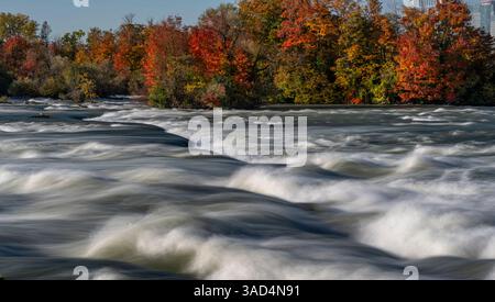 USA, New York. Fiume Niagara, fogliame autunnale e rapide, Niagara Falls State Park Foto Stock