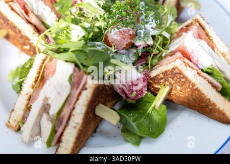 piatto bianco con panini di pollo a fette e insalata verde in un ristorante. Foto di alta qualità Foto Stock