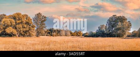 Incredibile paesaggio forestale panoramico con colori autunnali in tonalità vintage e tranquille campagne naturali sullo sfondo stagionale Foto Stock