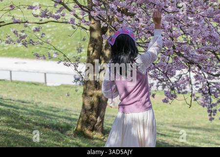 München, Deutschland 03. Aprile 2025: Im Bild: Die Kirschblüte der japanischen Kirschbäume, ein München im Olympiapark in Blütenparadies lockt zur Zeit viele Besucher und Touristen an. Eine junge Frau streichelt zärtlich über die Blüten. Bayern *** Monaco di Baviera, Germania 03 aprile 2025 nella foto la fioritura dei ciliegi giapponesi, un paradiso in fiore nel Parco Olimpico di Monaco, attira attualmente molti visitatori e turisti Una giovane donna accarezza con affetto i fiori Baviera Copyright: XFotostandx/xFritschx Foto Stock
