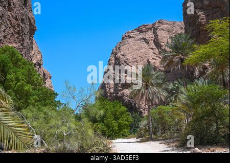 Vista panoramica del canyon di Wadi Shab in Oman Foto Stock