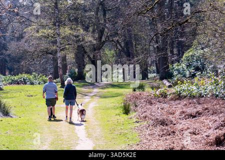 Due persone si godono il caldo inizio aprile su uno dei sentieri pubblici che attraversano la Sandringham Royal Estate, Norfolk. Foto Stock