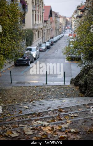 Autunno a Torino, Italia: Una vista su una strada della città dalla cima delle scale ricoperte di foglie. Le auto parcheggiate fiancheggiano la strada in questa scena urbana. Foto Stock