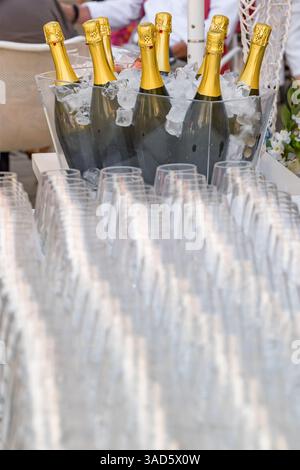Bicchieri da vino vuoti allineati in fila, con bottiglie di champagne sullo sfondo Foto Stock