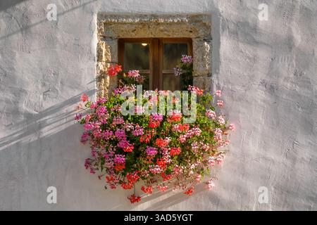 Primo piano di fiori vivaci che fioriscono nella finestra di un'affascinante casa di campagna in Slovenia. Foto Stock