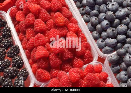 Sfondo di mirtilli, mirtilli e more in vassoi di plastica Foto Stock