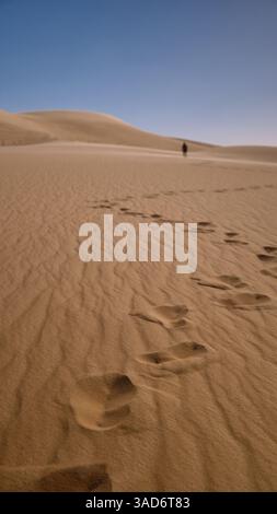 Impronte in un deserto Foto Stock