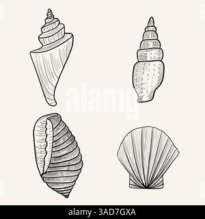 Set di conchiglie di disegno, stile di schizzo, disegno a mano Illustrazione Vettoriale