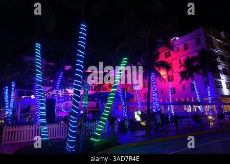 I turisti camminano tra le luci al neon delle palme illuminate su una passerella di Miami Beach/South Beach per godersi la vita notturna nei locali notturni. Foto Stock