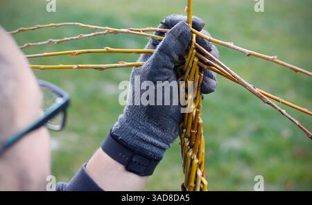 Primo piano di un uomo caucasico che intreccia una frusta pasquale con ramoscelli di salice, un simbolo tradizionale ceco e slovacco della Pasqua Foto Stock