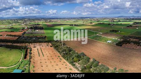 Es Pla de Llodrà Countryside, Manacor, Maiorca, Isole Baleari, Spagna Foto Stock