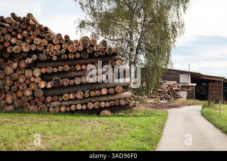Pile di tronchi impilati dalla segheria. Pelo alto di legname o legname pronto per essere lavorato in segheria o legname. Messa a fuoco selettiva. Rothenburg, Switzer Foto Stock