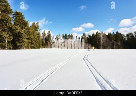 Figure lontane sciano attraverso il campo innevato, una indossa abiti gialli e l'altra segue, entrambe in direzione di un treeline lontano sul sole Foto Stock