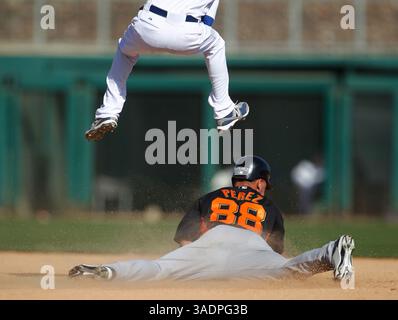 6 marzo 2012 - Phoenix, Arizona, Stati Uniti - Juan Perez dei San Francisco Giants (88) scivola sotto Justin Sellers dei Los Angeles Dodgers alla seconda base nell'ottavo inning al Camelback Ranch. (Immagine di credito: © Anda Chu/Oakland Tribune/MCT/ZUMAPRESS.com) Foto Stock