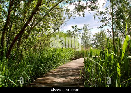 I Paesi Bassi Barendrecht Zuidpolder Foto Stock