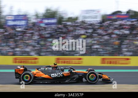 Suzuka, Giappone. 6 aprile 2025. Il pilota inglese della McLaren Lando Norris gareggia durante il Gran Premio del Giappone di Formula 1 2025 sul circuito di Suzuka a Suzuka, in Giappone, il 6 aprile 2025. Credito: Bao di/Xinhua/Alamy Live News Foto Stock