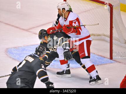17 gennaio 2012. Dallas vede il difensore Sheldon Souray (44) in azione.durante una partita tra i Detroit Red Wings e i Dallas Stars all'American Airlines Center di Dallas, Texas..(Credit Image: Â© Manny Flores/Cal Sport Media/ZUMAPRESS.com) Foto Stock