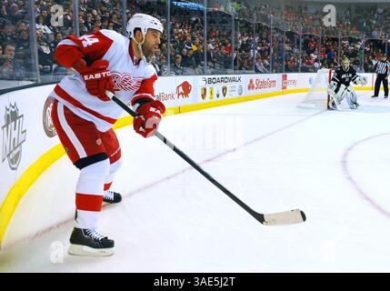 17 gennaio 2012. Dallas vede il difensore Sheldon Souray (44) in azione.durante una partita tra i Detroit Red Wings e i Dallas Stars all'American Airlines Center di Dallas, Texas..(Credit Image: Â© Manny Flores/Cal Sport Media/ZUMAPRESS.com) Foto Stock