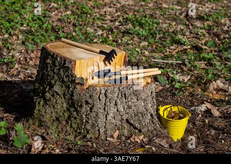 Utensili per piantare piccole piante da interno. Benna gialla, pala, rastrello e paletta su un ceppo. Primo piano. Foto Stock