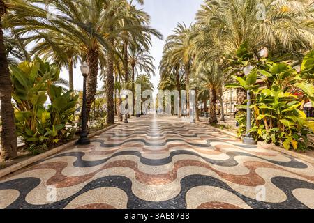 Alicante. La passeggiata chiamata Explanada de España. Una giornata di sole. L'inizio della stagione turistica. Costa Blanca, Alicante, provincia di Valencia, Foto Stock