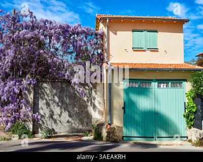 Bellissime vigne Wisteria su un cottage con cielo azzurro Foto Stock