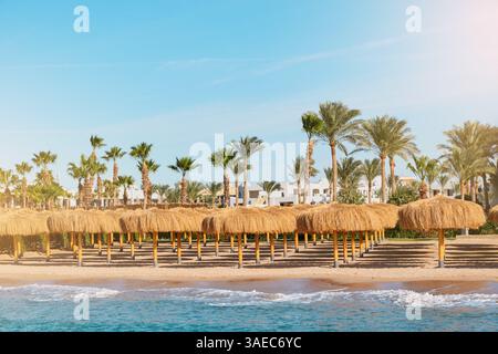 Ombrelloni da spiaggia, ombrelloni in foglia di cocco in piedi sulla riva del mare sullo sfondo di un cielo azzurro soleggiato e abbagliante. Vista sulla spiaggia tropicale con la fila Foto Stock