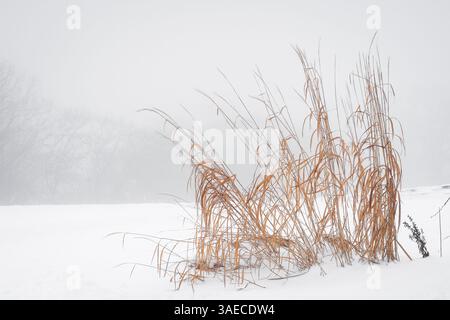 Condizioni nevose su un campo da golf a Dartmouth, nuova Scozia, Canada. Foto Stock