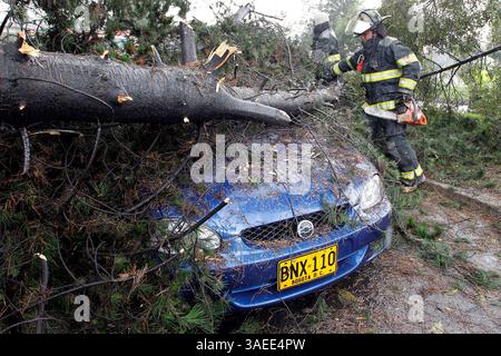 16 novembre 2011 - Colombia - bogotà 16 de noviembre de 2011. DOS vehicle daÃ±ados y por lo menos siete arboles caidos dejo la fuerte lluvia caida en el sector de la avenida el dorado con 68 foto Carlos Ortega CrÃ©dato: CEET FotÃ³grafo: CARLOS Ortega (Credit Image: © El Tiempo/GDA/ZUMAPRESS.com) Foto Stock
