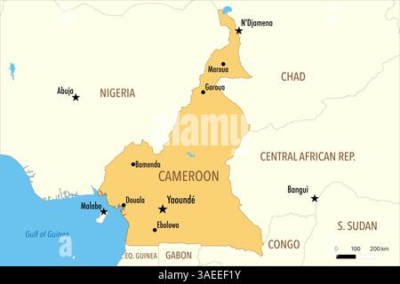 Mappa del Camerun con le principali città e i paesi vicini Foto Stock